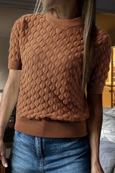 Fish Scale Textured Knit Crew Neck Short Sleeve Sweater- 2 Colors