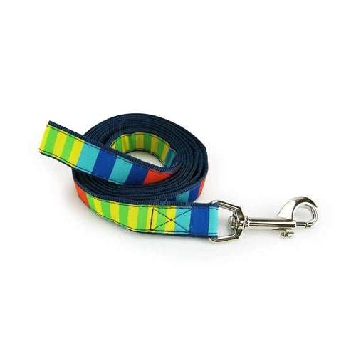 Party Stripes Dog Leash- 2 Sizes