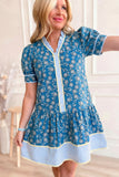 Blue Floral Striped Frill Neck Button-Up Short Sleeve Mini Dress