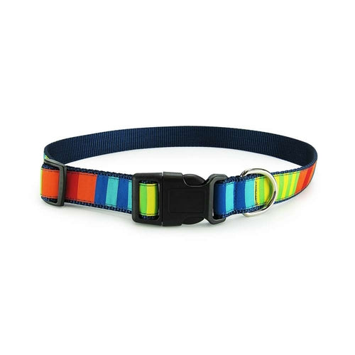 Party Stripes Dog Collar- 3 Sizes