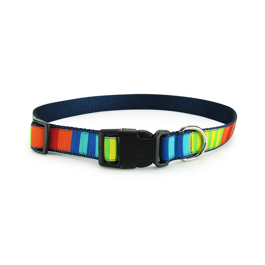Party Stripes Dog Collar- 3 Sizes