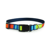 Party Stripes Dog Collar- 3 Sizes