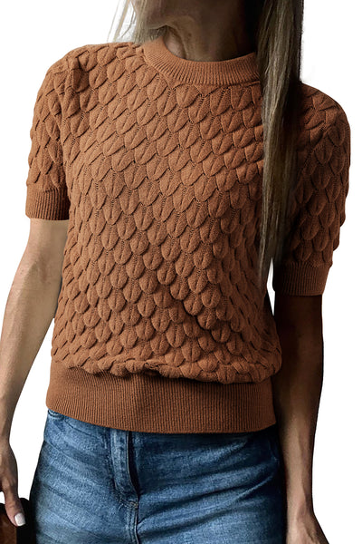 Fish Scale Textured Knit Crew Neck Short Sleeve Sweater- 2 Colors