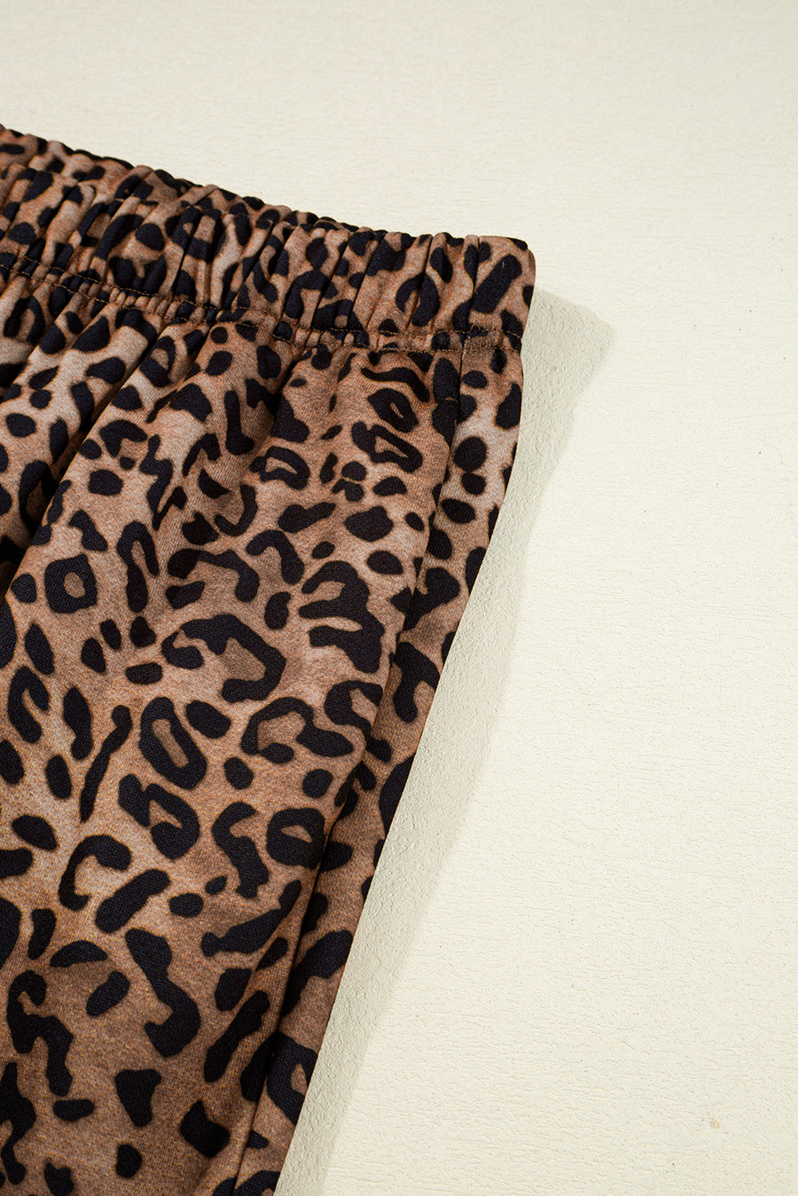 Leopard Print & Embroidered Bow Long Sleeve Top and Pants Set