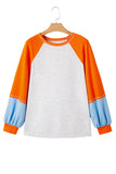 Light Grey Colorblock Raglan Sleeve Loose Fit Top