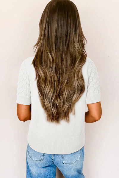 Fish Scale Textured Knit Crew Neck Short Sleeve Sweater- 2 Colors