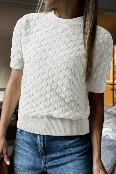 Fish Scale Textured Knit Crew Neck Short Sleeve Sweater- 2 Colors