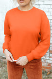 Classic Crew Neck Pullover Sweatshirt- 2 Colors