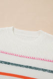 Multicolored Striped Ribbed Trim Crew Neck Sweater- 2 Colors