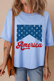 Light Blue America Star Print Relaxed Fit Graphic T-Shirt