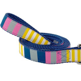 Sunshine Stripes Dog Leash- 2 Sizes