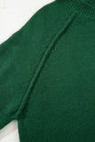 Evergreen Exposed Seam Raglan Sleeve Crew Neck Sweater