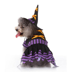 Witch Dog Costume- 4 Sizes