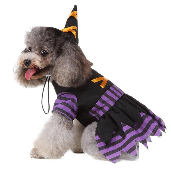 Witch Dog Costume- 4 Sizes