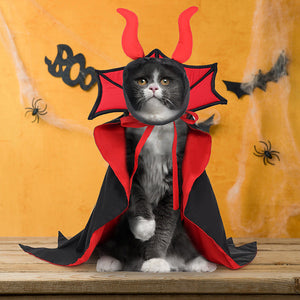 Halloween Pet Vampire Devil Cloak & Hat