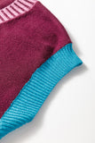 Burgundy Contrast Trim V-Neck Short Sleeve Loose Sweater