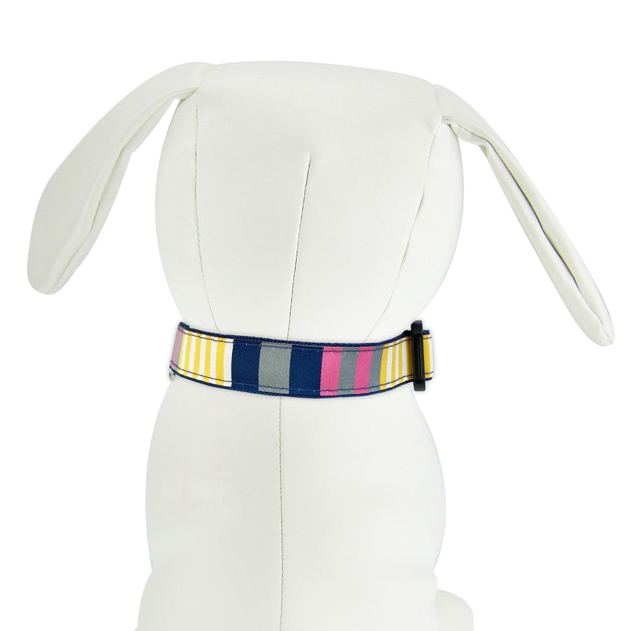 Sunshine Stripes Dog Collar- 3 Sizes