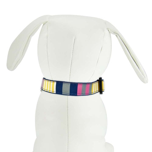 Sunshine Stripes Dog Collar- 3 Sizes