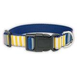 Sunshine Stripes Dog Collar- 3 Sizes