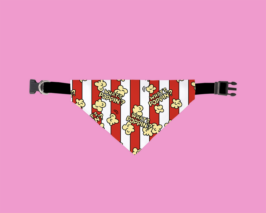 What's Poppin Pet Bandana- 5 Sizes