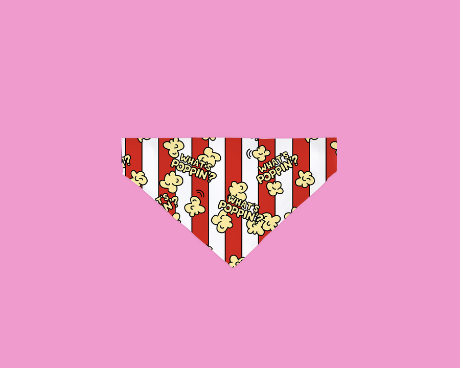 What's Poppin Pet Bandana- 5 Sizes