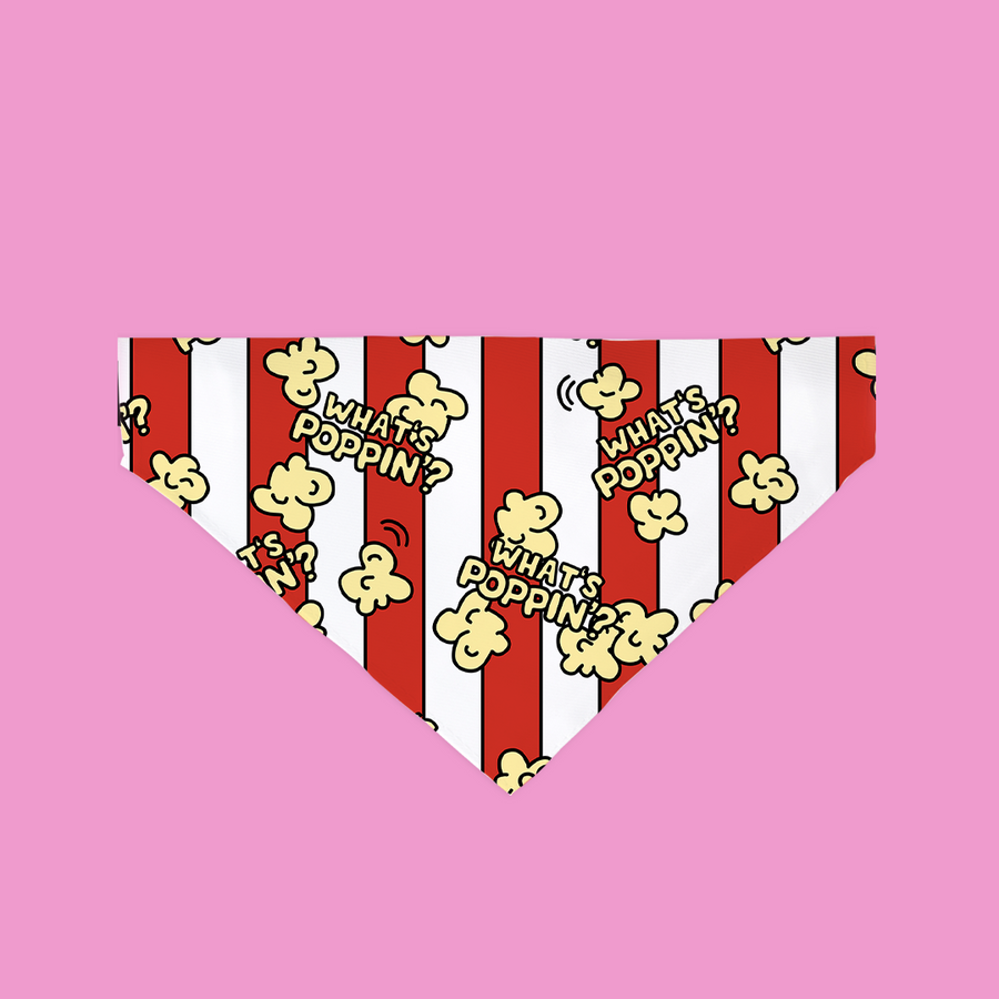 What's Poppin Pet Bandana- 5 Sizes
