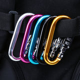 Combination Lock Carabineer
