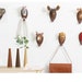 Animal Wall Hook- Dog