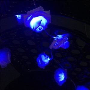 Blue Rose LED String Lights-Close Up