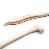 Set of 5 Human Bone Ball Point Pens