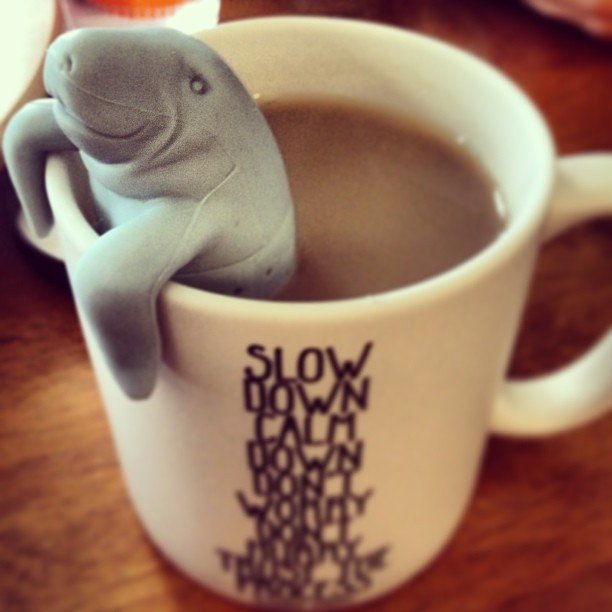 Manatee Tea Infuser