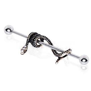 Silver & Gold Snake Industrial Barbell